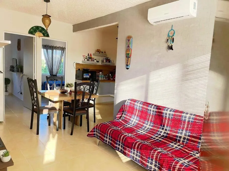 普拉亚卡门Tropical Flat Next To The Jungle公寓