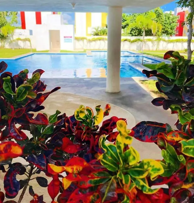 普拉亚卡门Tropical Flat Next To The Jungle公寓 墨西哥