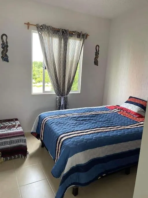 公寓 普拉亚卡门Tropical Flat Next To The Jungle公寓