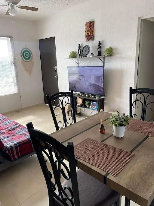 普拉亚卡门Tropical Flat Next To The Jungle公寓 公寓